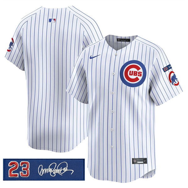 Chicago Cubs Blank White Pinstripe 'Ryne Sandberg Tribute' Vapor Limited V3 Stitched Baseball Jersey