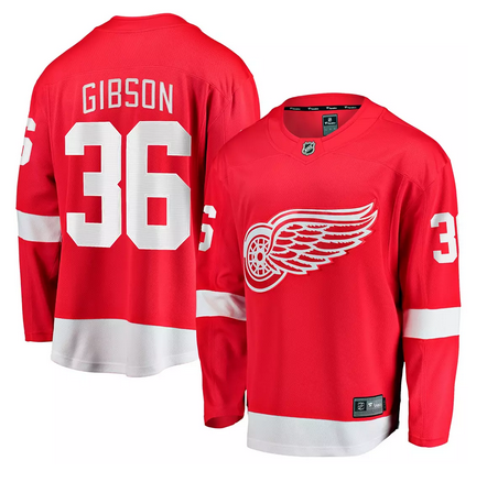Detroit Red Wings #36 John Gibson Red Home Stitched Hockey Jersey Detroit Red Wings #36 John Gibson Red Home Stitched Hockey Jersey